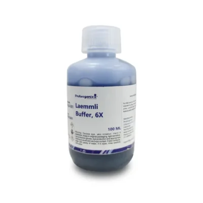Laemmli Buffer, 6X