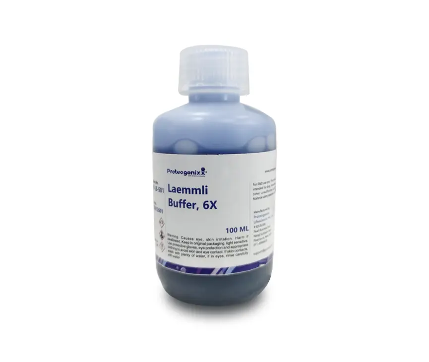 Laemmli Buffer 6X