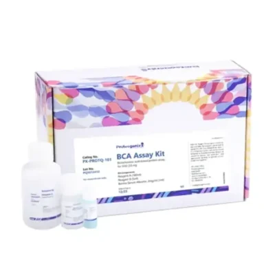 BCA Estimation Kit with Protein Standard