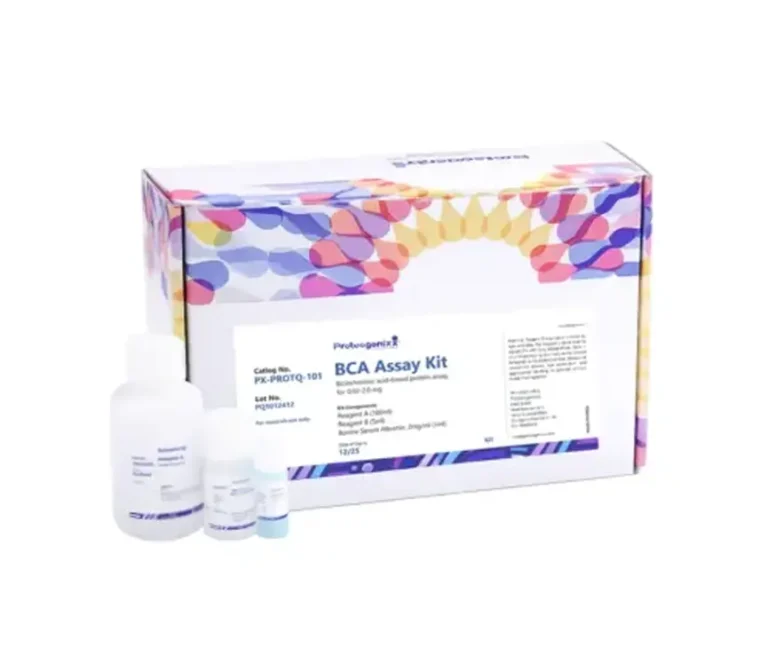 BCA Estimation Kit with Protein Standard