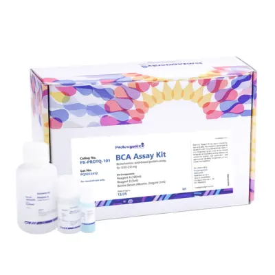 BCA Estimation Kit with Protein Standard