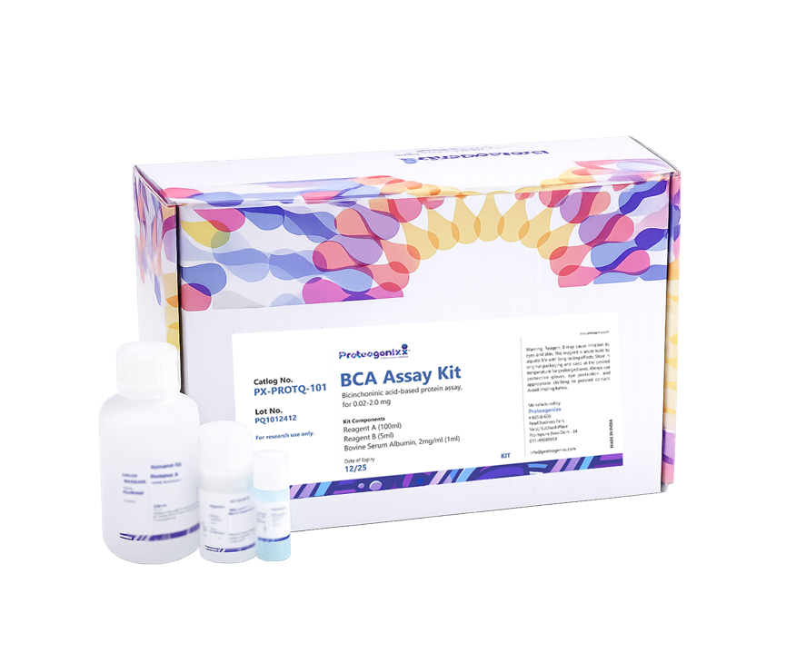 BCA Estimation Kit with Protein Standard