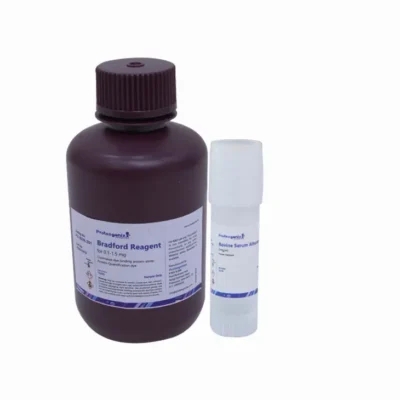 Bradford Assay kit with Protein Standard