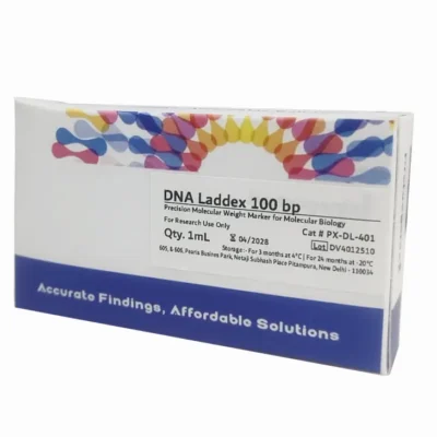 DNA Laddexᵀᴹ 100 bp