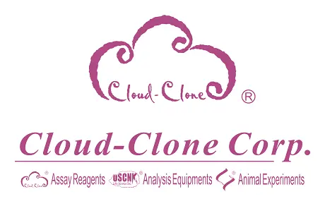 Cloud Clone Corp Logo