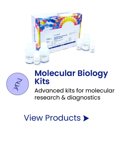 Molecular Biology Kits